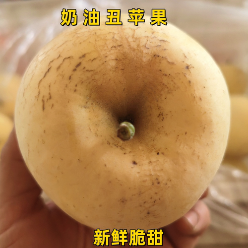 烟台栖霞脆甜多汁丑苹果农家自种