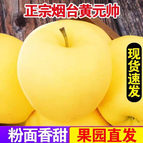 刮泥正宗烟台苹果水果黄苹果粉