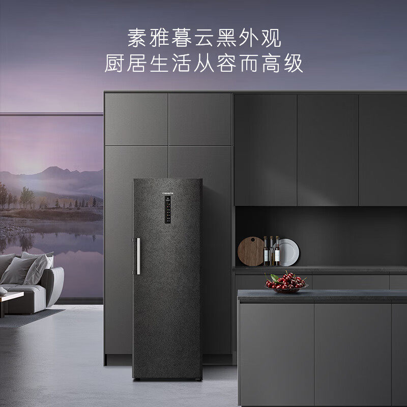 卡萨帝原石系列285l立式冰柜一级能效冷藏冷冻柜bd-285wgceru1