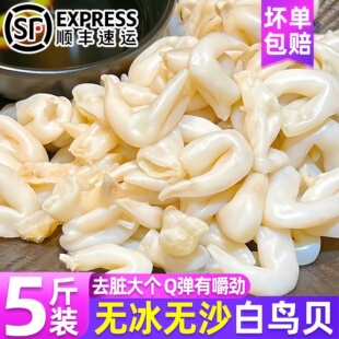 白鸟贝肉新鲜冷冻特大号去内脏无沙无冰黄鸟贝肉批发海鲜年货顺丰