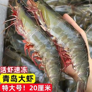 青岛大虾超大海虾鲜活冷冻白虾对虾速冻新鲜海捕大虾海鲜水产包邮