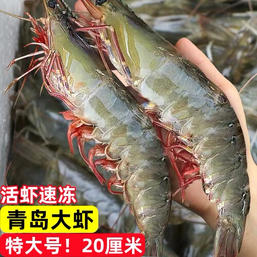 大虾青岛大虾鲜活冷冻白虾商用