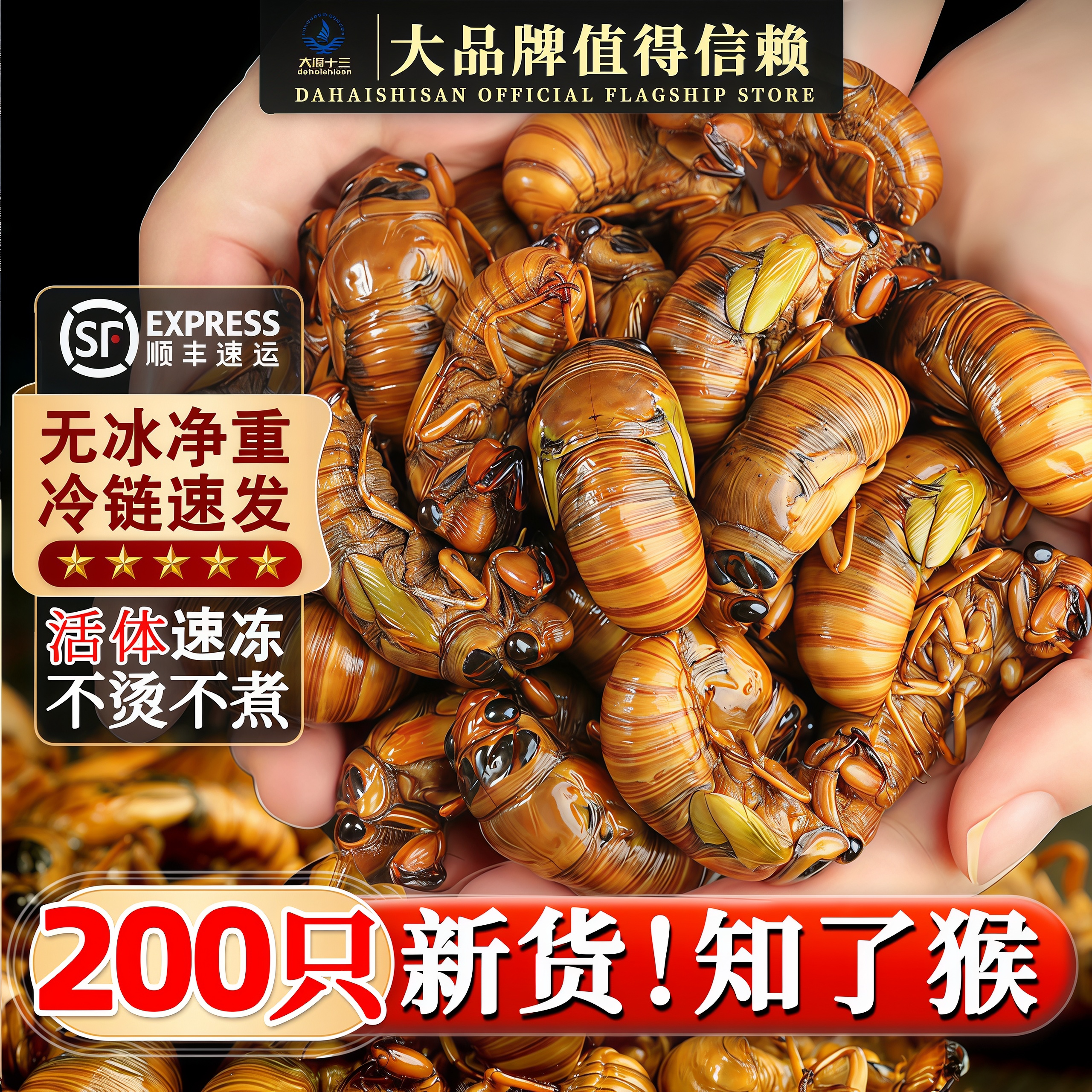 金蝉鲜活冷冻知了猴26年新货爬叉