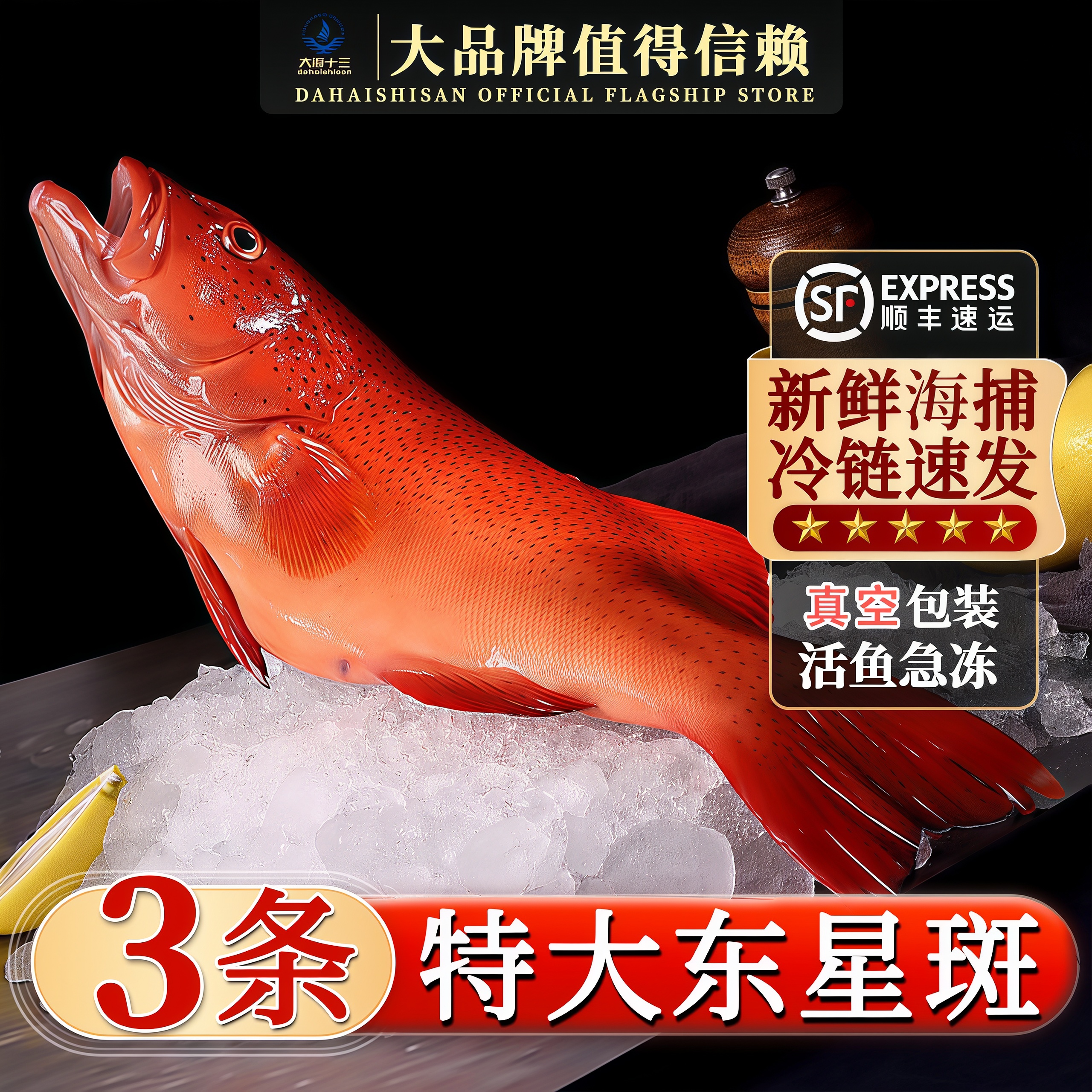 东星斑鱼鲜冻深海海捕燕尾斑商用