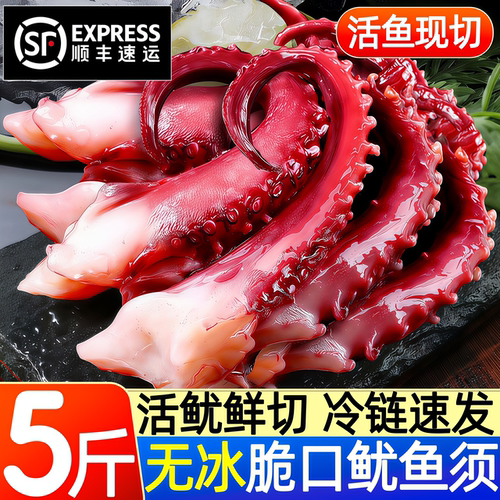 脆口鱿鱼须新鲜冷冻大章鱼须足八爪鱼烧烤火锅商用半成品海鲜水产