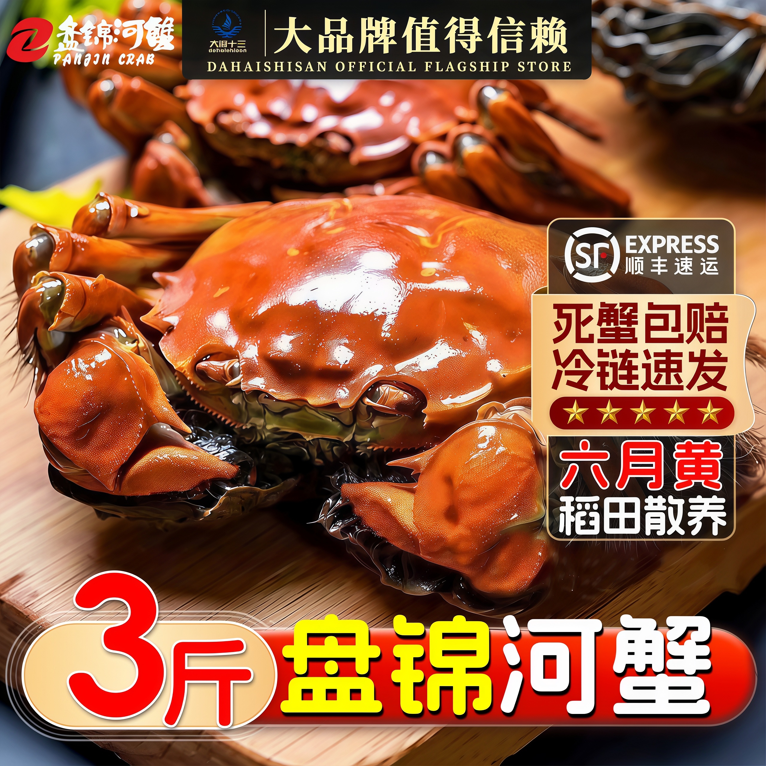 河蟹盘锦河蟹公蟹鲜活蟹六月黄北方稻田蟹大闸蟹螃蟹溜达蟹礼盒