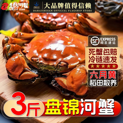 河蟹盘锦河蟹公蟹鲜活蟹六月黄北方稻田蟹大闸蟹螃蟹溜达蟹礼盒