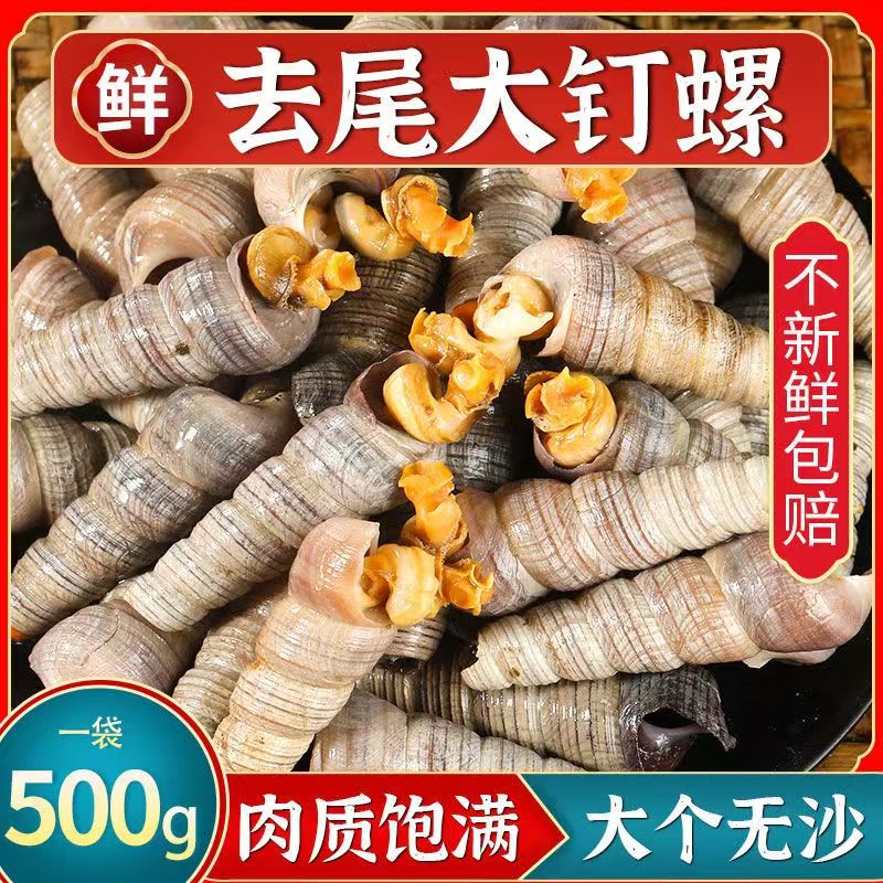 钉螺鲜活去尾新鲜海螺大号锥螺丝捞汁小海鲜麻辣贝类商用顺丰包邮