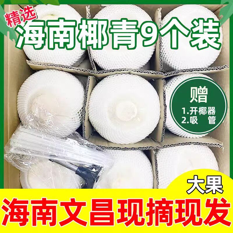 海南椰青新鲜椰子整箱9个礼盒装水果特大果顺丰包邮