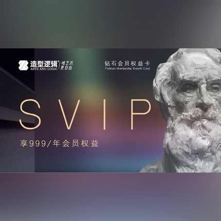造型逻辑999年度SVIP