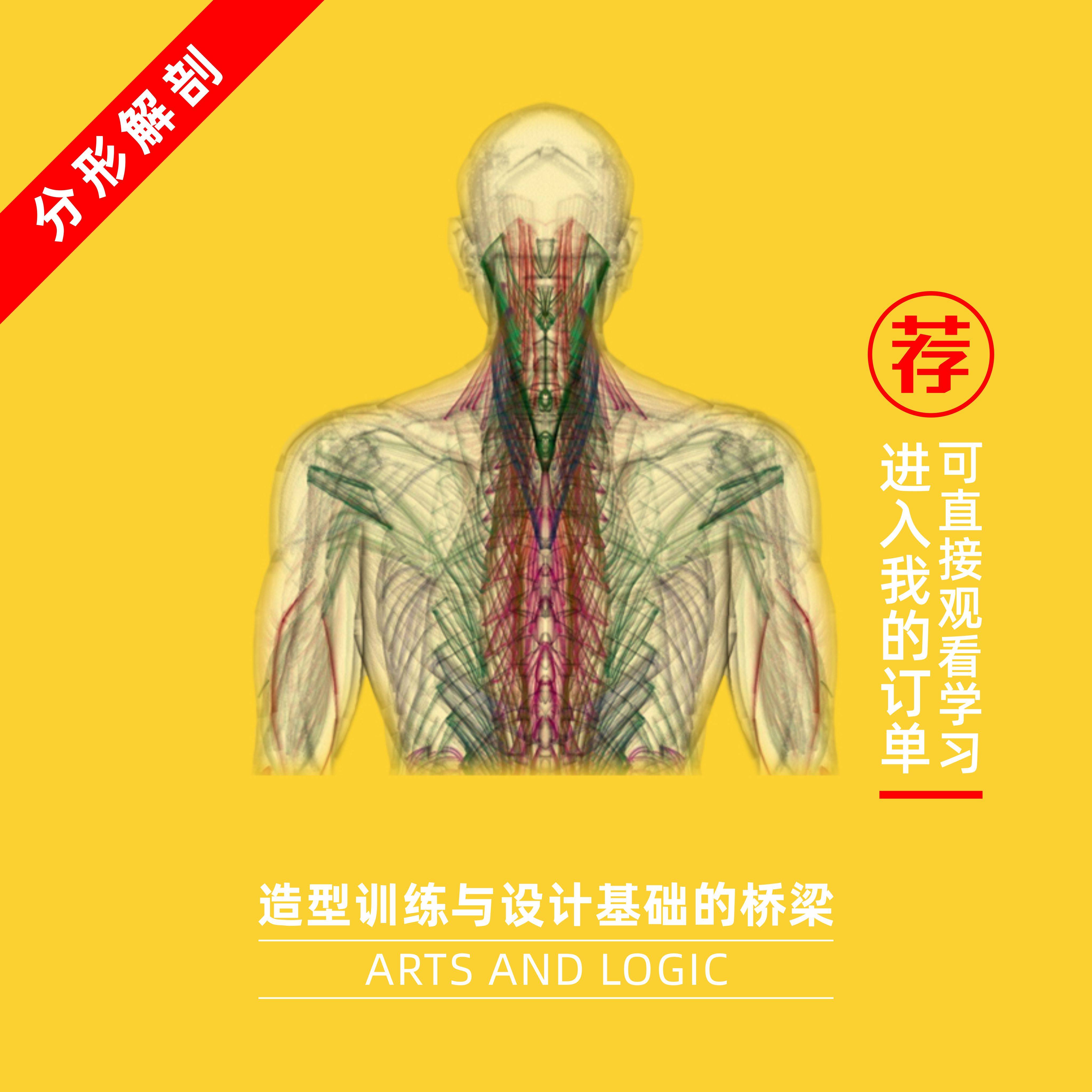 造型逻辑油画侠管郁生 手绘板绘素描教程《分形解剖》精华小课