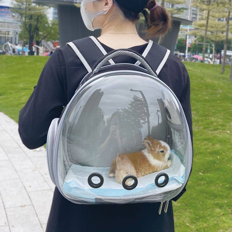 宠物外出便携包装幼猫兔子龙猫蜜袋鼯鹦鹉小狗猫透气外带双肩背包