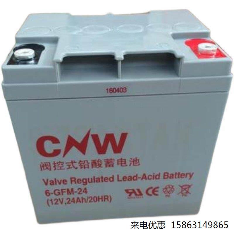 CNW储霸蓄电池6-GFM-100铅酸储能12V100AH消防应急UPS直流屏包邮