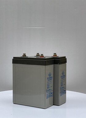 理士DJ100铅酸免维护2V100AH蓄电池 通信储能直流屏 UPS EPS电源
