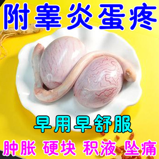 附睾炎阴囊硬块结节睾丸疼痛坠胀潮湿瘙痒精索静脉曲张男人蛋蛋疼