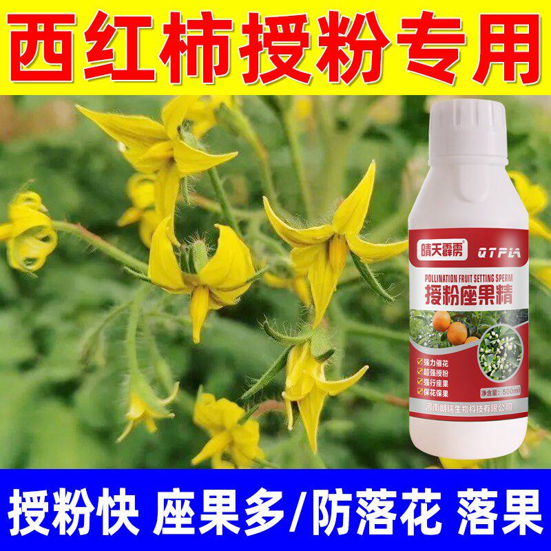 番茄授粉药坐果精膨大素西红柿催花防落果膨大剂防畸形授粉坐果精