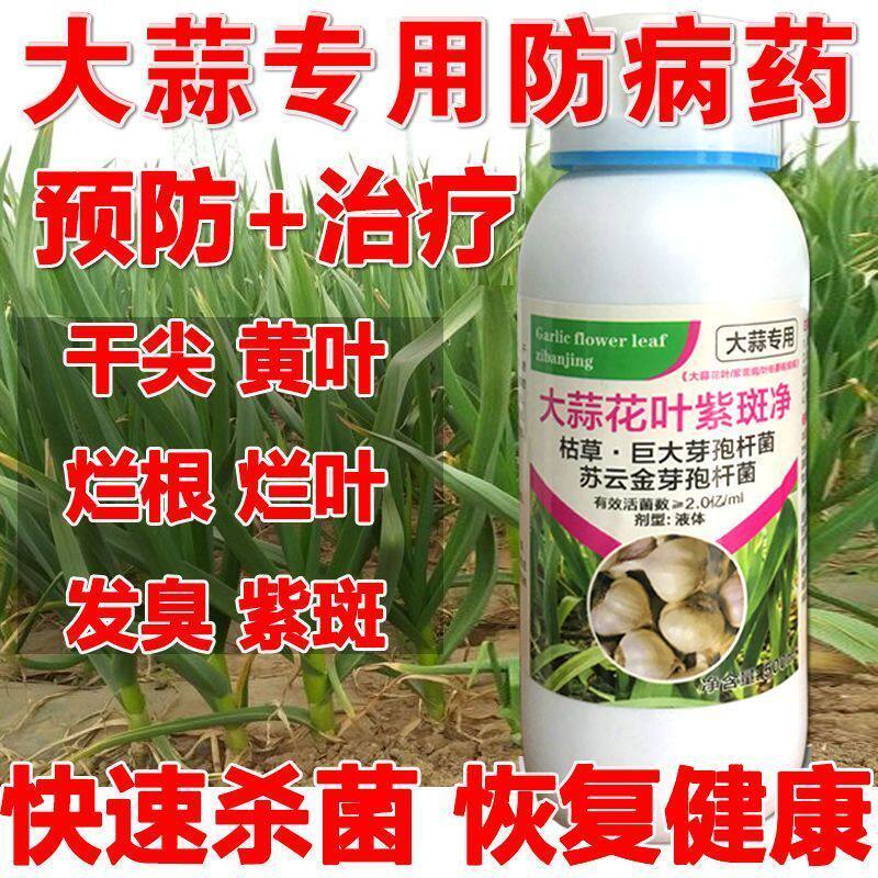 大蒜专用药大蒜病专治大蒜锈病干尖黄叶紫斑病大蒜专用农药杀菌剂