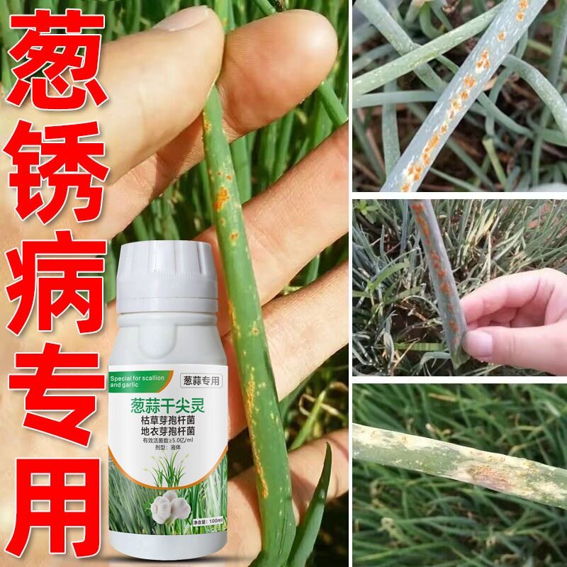 大葱锈病专用药大葱病专治杀菌剂病全治预防急救黄叶干尖黑斑病