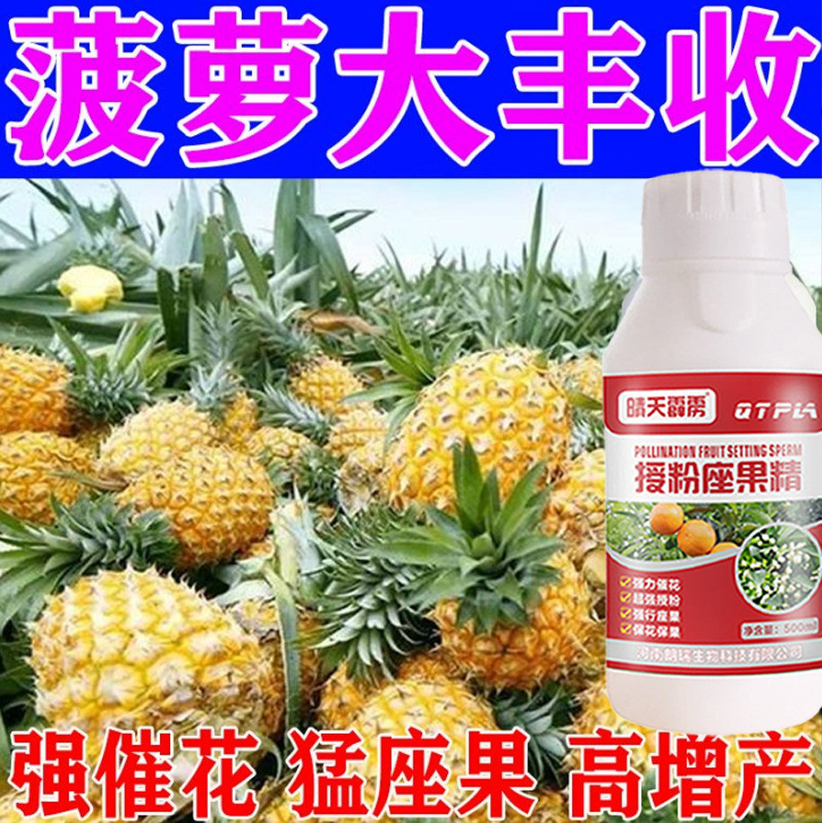 菠萝催花剂催花素促花花芽齐开调控开花时间促进果实发育坐果授粉