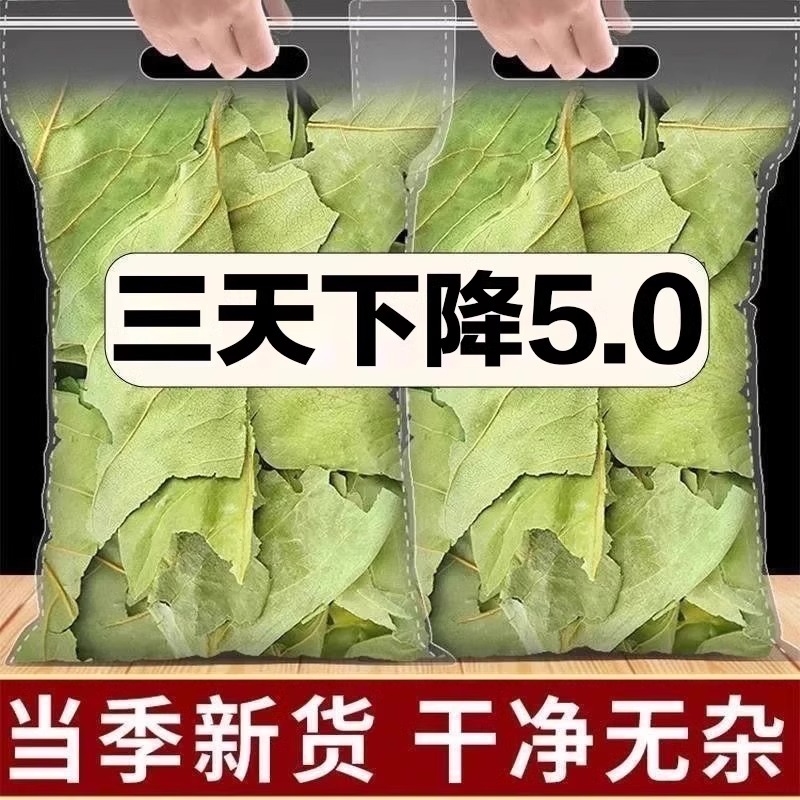 柿子叶正品新鲜干货霜后柿子树叶中药材柿叶柿子官方旗舰店茶泡水