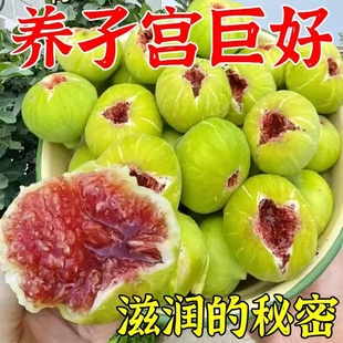 新货无花果新疆特产青皮原色孕妇新鲜营养泡水无花果零食糖友福利