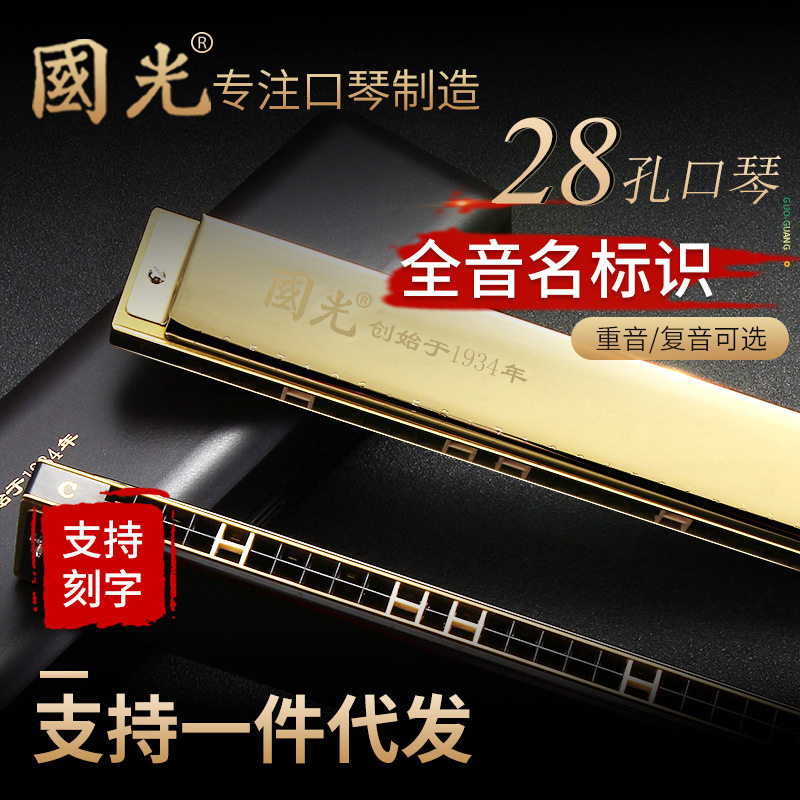 国光口琴重音28孔男女初学者学生成人儿童入门复音C调专业演奏级