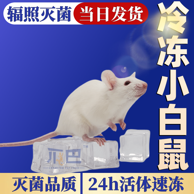 冷冻小白鼠亚成体灭菌喂成体蛇耗子蛇粮跳跳独立包装