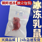 爬宠蛇粮乳鼠红皮小白鼠开口料粉白霜冷冻独立包装 无菌角蛙龙鱼粮
