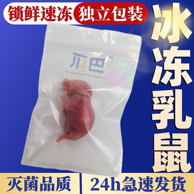 爬牌乳鼠冷冻灭菌独立包装