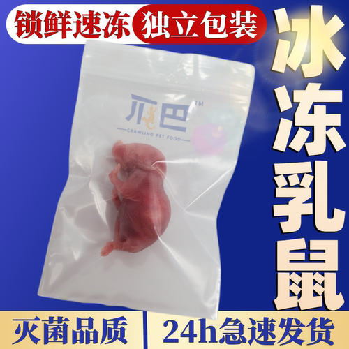爬牌乳鼠冷冻灭菌独立包装