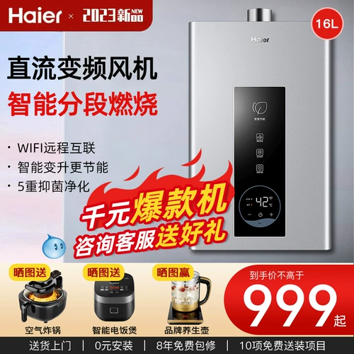 Haier Gas Water Gaverter Home Природное газ переменная частота постоянная температура 12 Энергия купания.