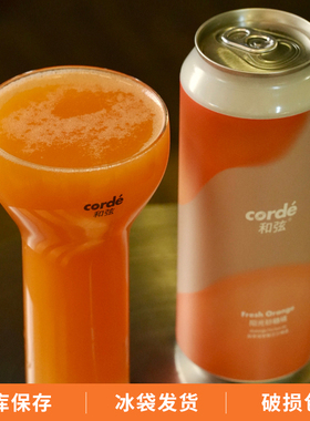 和弦corde阳光砂糖橘原萃绿茶酸艾尔小精灵/大西瓜精酿啤酒500ml