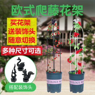 昙花专用支架月季 花 花架园艺爬藤花植物铁线莲紫藤攀爬阳台撑欧式