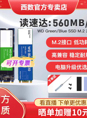 WD西部数据固态硬盘250/500g/1t笔记本ssd台式机ngff电脑m2 sata3