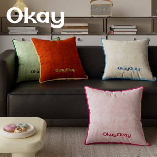 okay丝绒礼物韩系客厅抱枕套沙发抱枕靠垫办公室腰枕套床头靠背垫