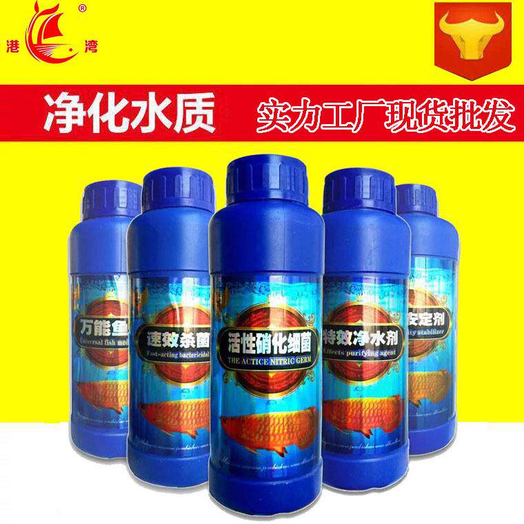 鱼博士二代杀菌净水剂杀菌水观赏鱼灭病菌及霉菌感染鱼缸消毒水