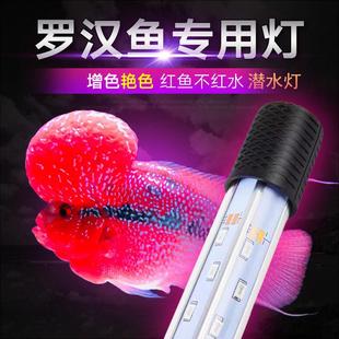 热带鱼罗汉鱼专用广角灯LED潜水灯照明灯led龙鱼鹦鹉增色灯鱼缸灯