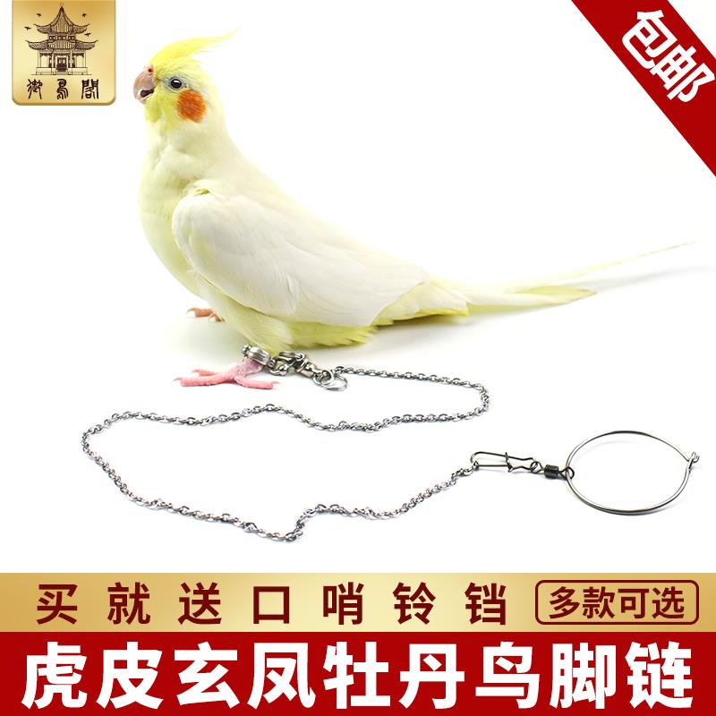牡丹玄凤八鹩哥虎皮鹦鹉不锈钢遛鸟脚链子脚套超轻外出放飞绳脚环