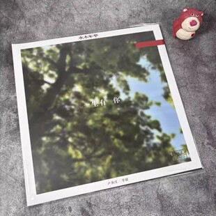 水木年华《一生有你》LP黑胶唱片 叶绿彩胶 李健/卢庚戌 正版专辑