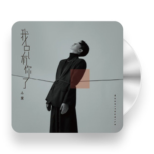 正版 小来首张专辑 我只有你了 CD唱片+写真歌词本 最美意外