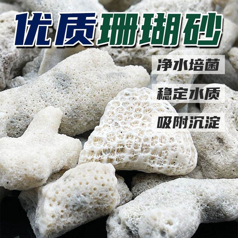 鱼池大块珊瑚骨滤材缸纯图片