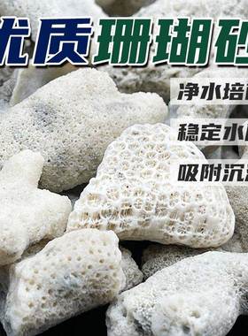 鱼池大块珊瑚骨滤材鱼缸纯天然过滤材料珊瑚石珊瑚砂海鲜缸沙网袋