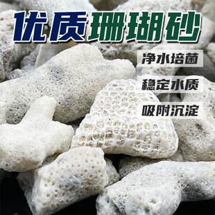鱼池大块珊瑚骨滤材鱼缸纯天然过滤材料珊瑚石珊瑚砂海鲜缸沙网袋