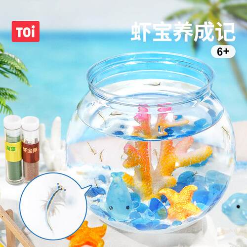 TOI图益科学小实验套装虾