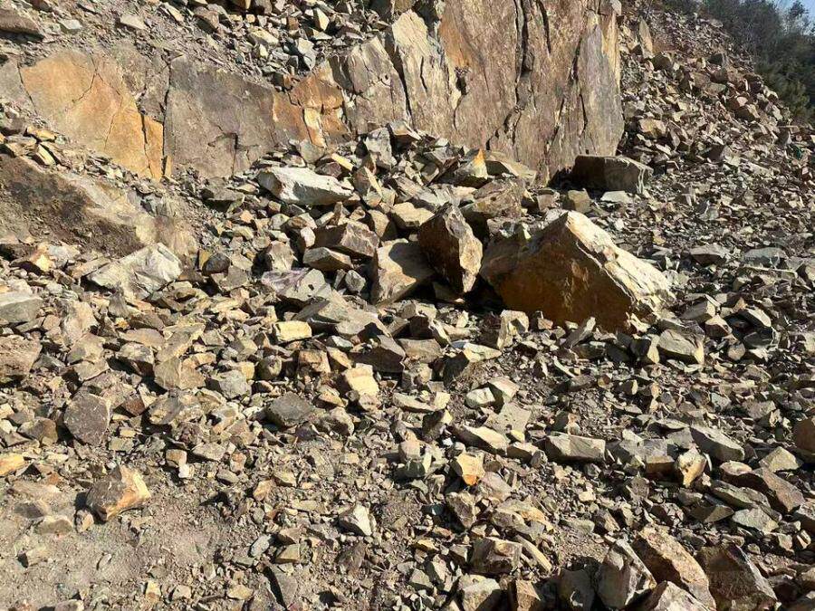 3月29日温州市塘下镇山官村建筑用石料（凝灰岩）矿界外边坡治理开挖土石方网络拍卖公告