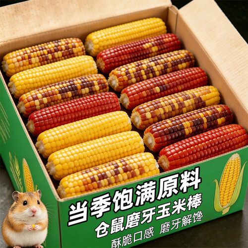 仓鼠零食小玉米磨牙棒