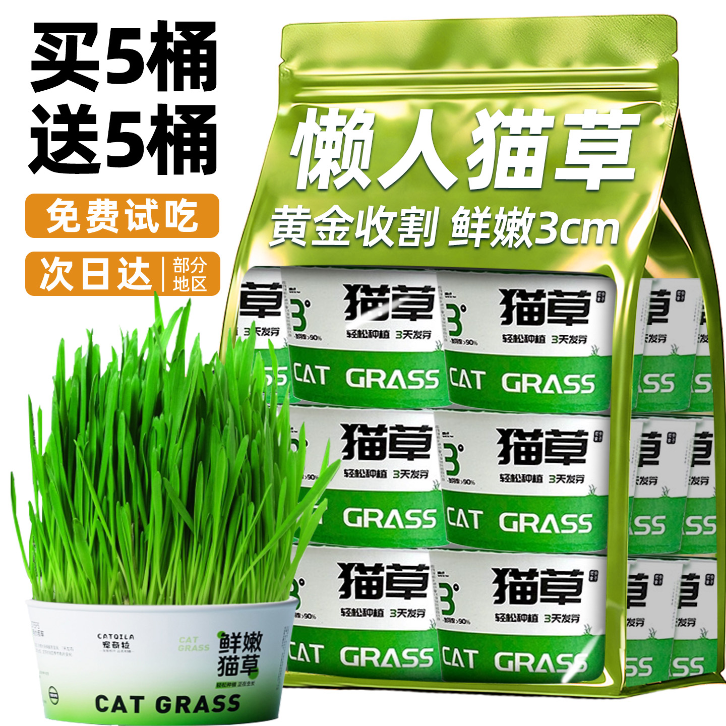 懒人猫草3天发芽7天成苗