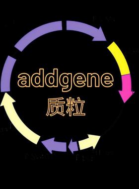 pHAGE-mt-mKeima  addgene131626质粒 开票包邮