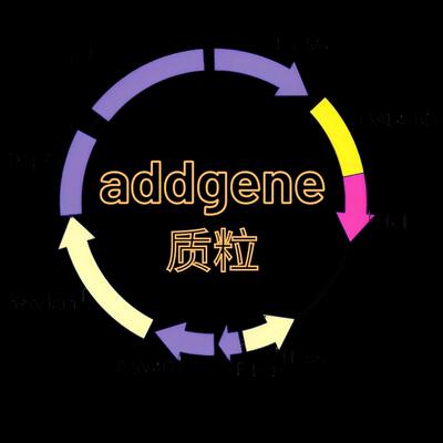 pHAGE-mt-mKeima  addgene131626质粒 开票包邮