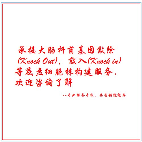 大肠杆菌基因编辑，底盘细胞构建